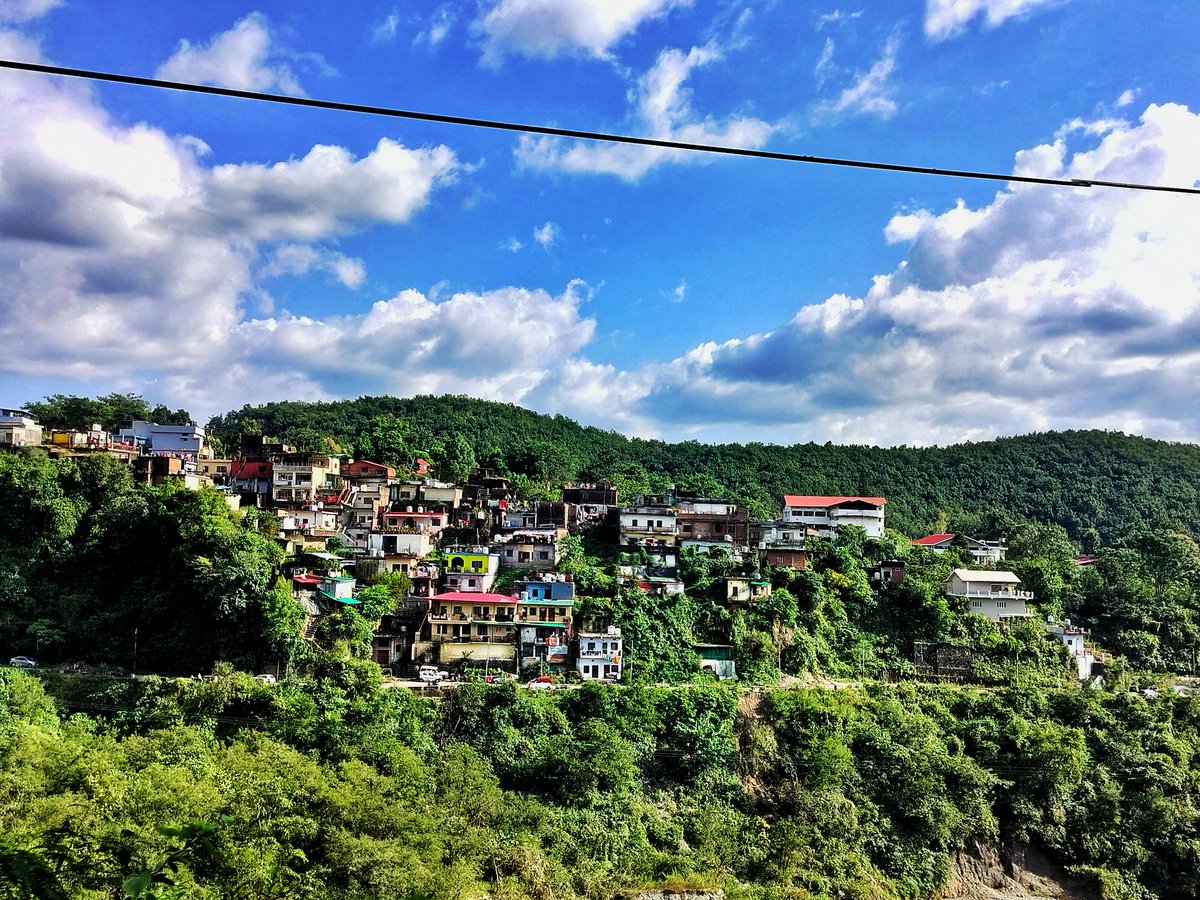 Quote with something green💚