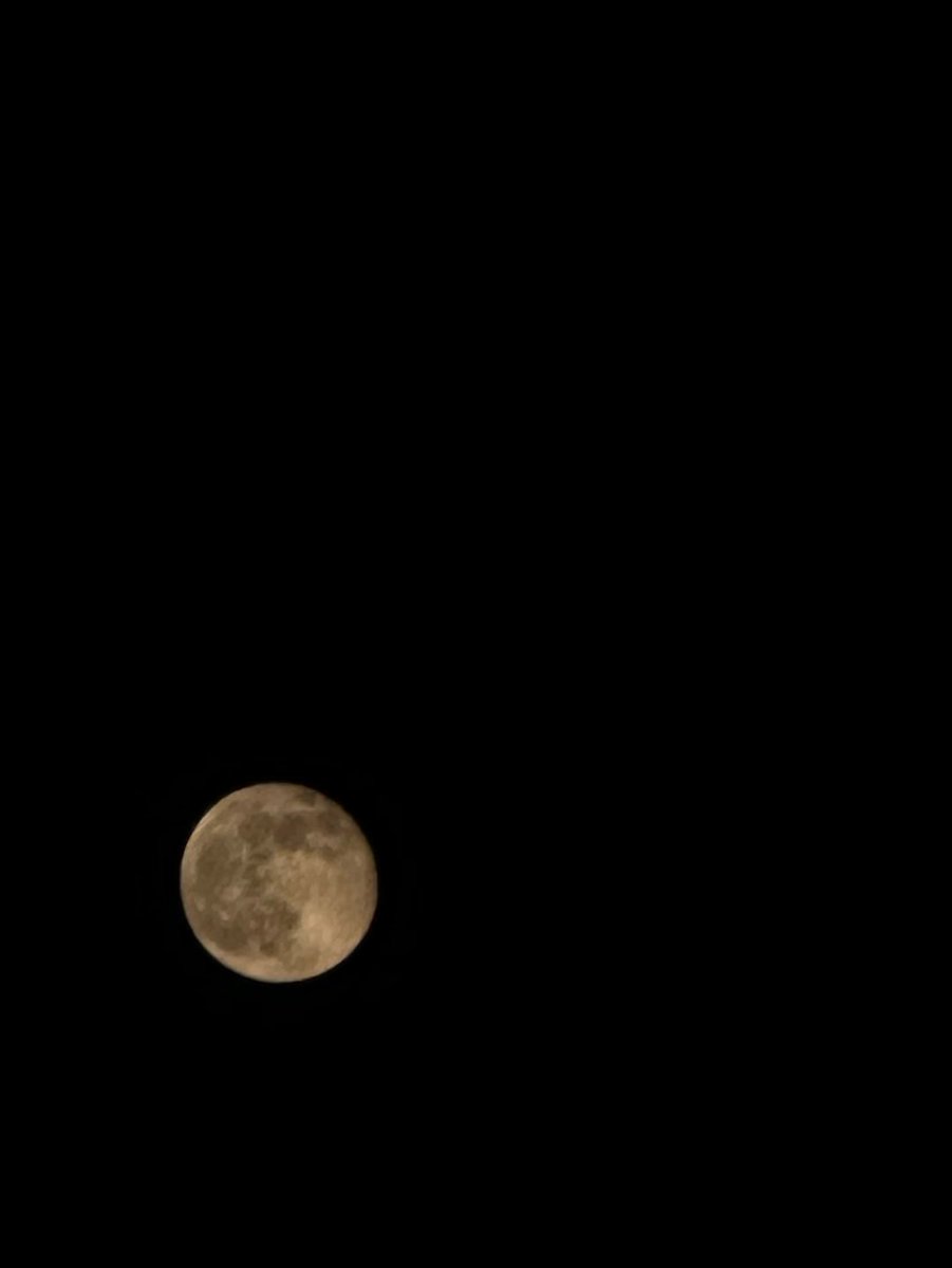 SumeraRiaz11's tweet photo. “Can’t get over how gorgeous the moon looks in the pics I took https://t.co/8HsGtCV8kh