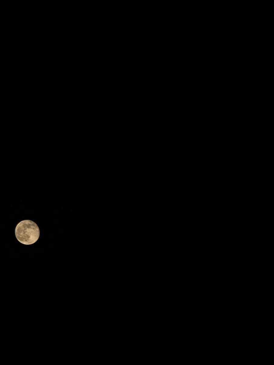 SumeraRiaz11's tweet photo. “Can’t get over how gorgeous the moon looks in the pics I took https://t.co/8HsGtCV8kh
