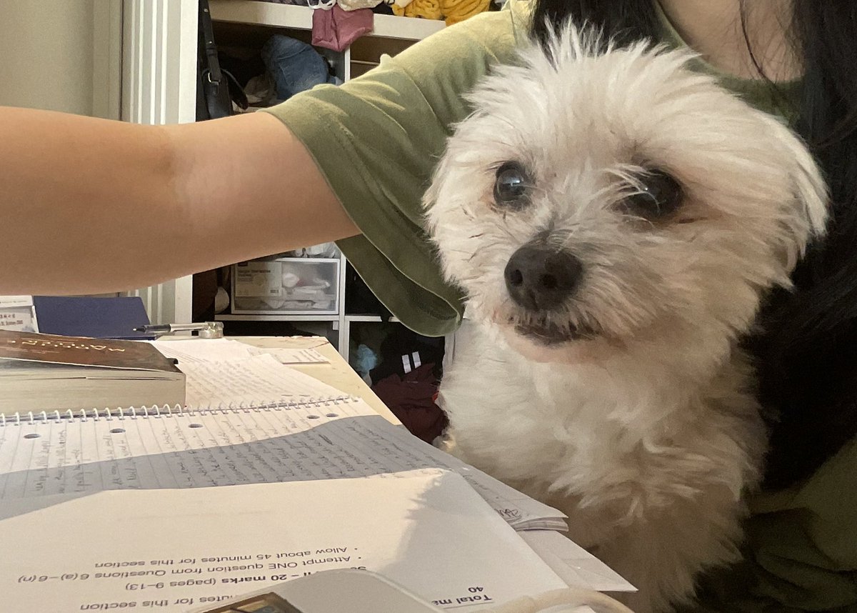 🪿.ᐟ tweet media