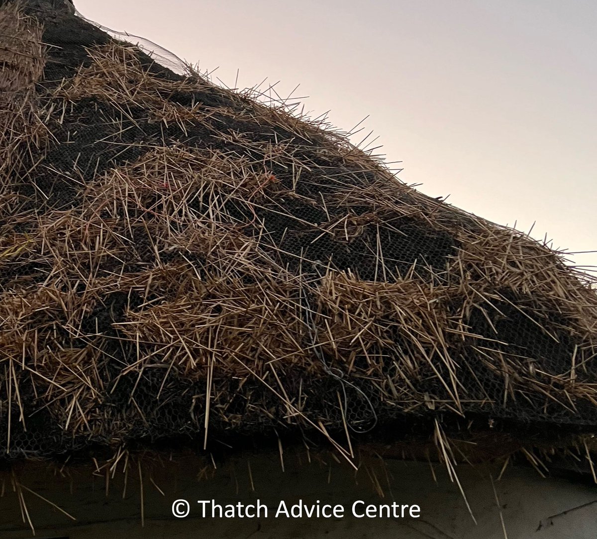 ThatchAdvice's tweet image. #FlashbackFriday to our &quot;7 Signs of #Pests in #Thatched Roofs&quot;.
bit.ly/7signspests
Deter pests at all times is our best advice...