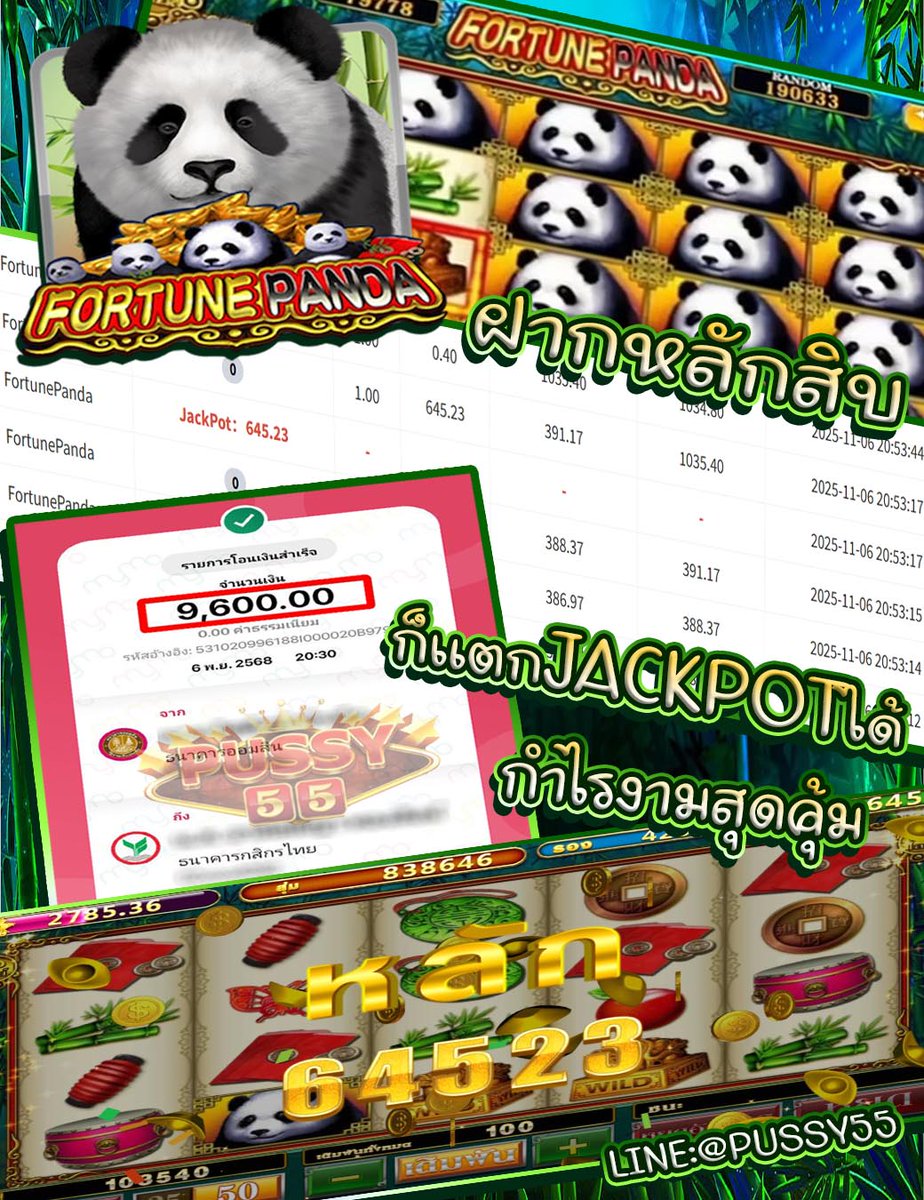 の*ん様 ❤️開花株❤️大株❤️☘️624【Ashwood】【TINKERBEL fortune ox【PG.CYOU】.jgld