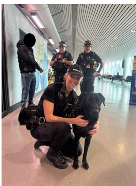 GMPMcrAirport's tweet photo. ๐ฎโ๏ธ Joint operation with UK Border Force today โ with fab detector dog Gilbert ๐พ โ led to the seizure of undeclared cash from a traveller.
Another was arrested over separate matters.
Weโre here 24/7 to keep your journey safe. ๐ฎ โ๏ธ
#GMP #UKBF #Arrested @gmpolice @GMPMcrAirport https://t.co/7mdtee72R3