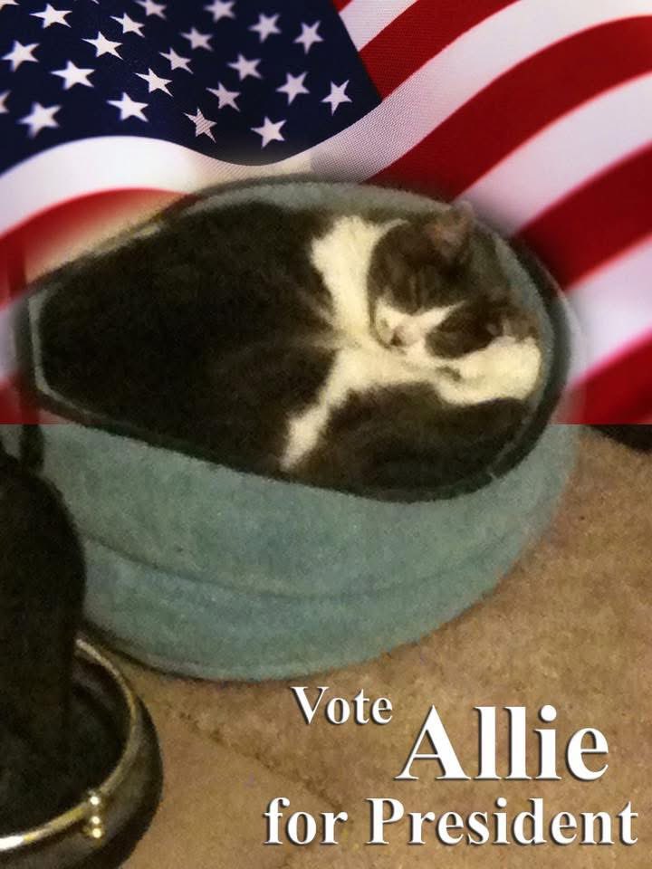 Neil Rapp, WB9VPG tweet media