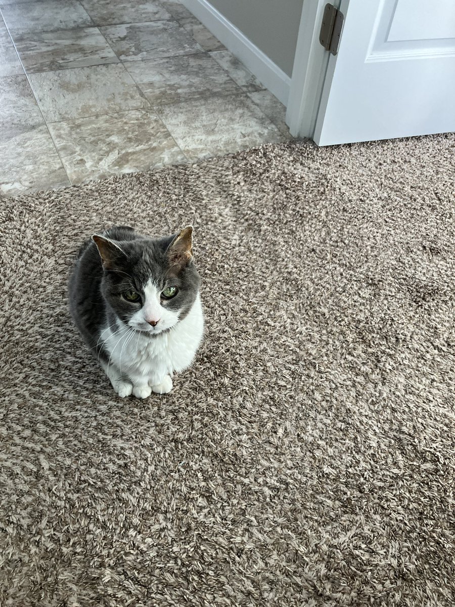 Neil Rapp, WB9VPG tweet media