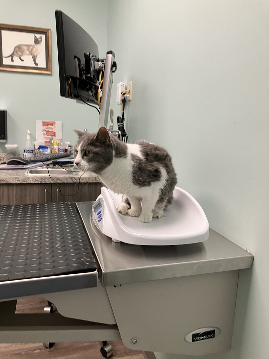 Neil Rapp, WB9VPG tweet media