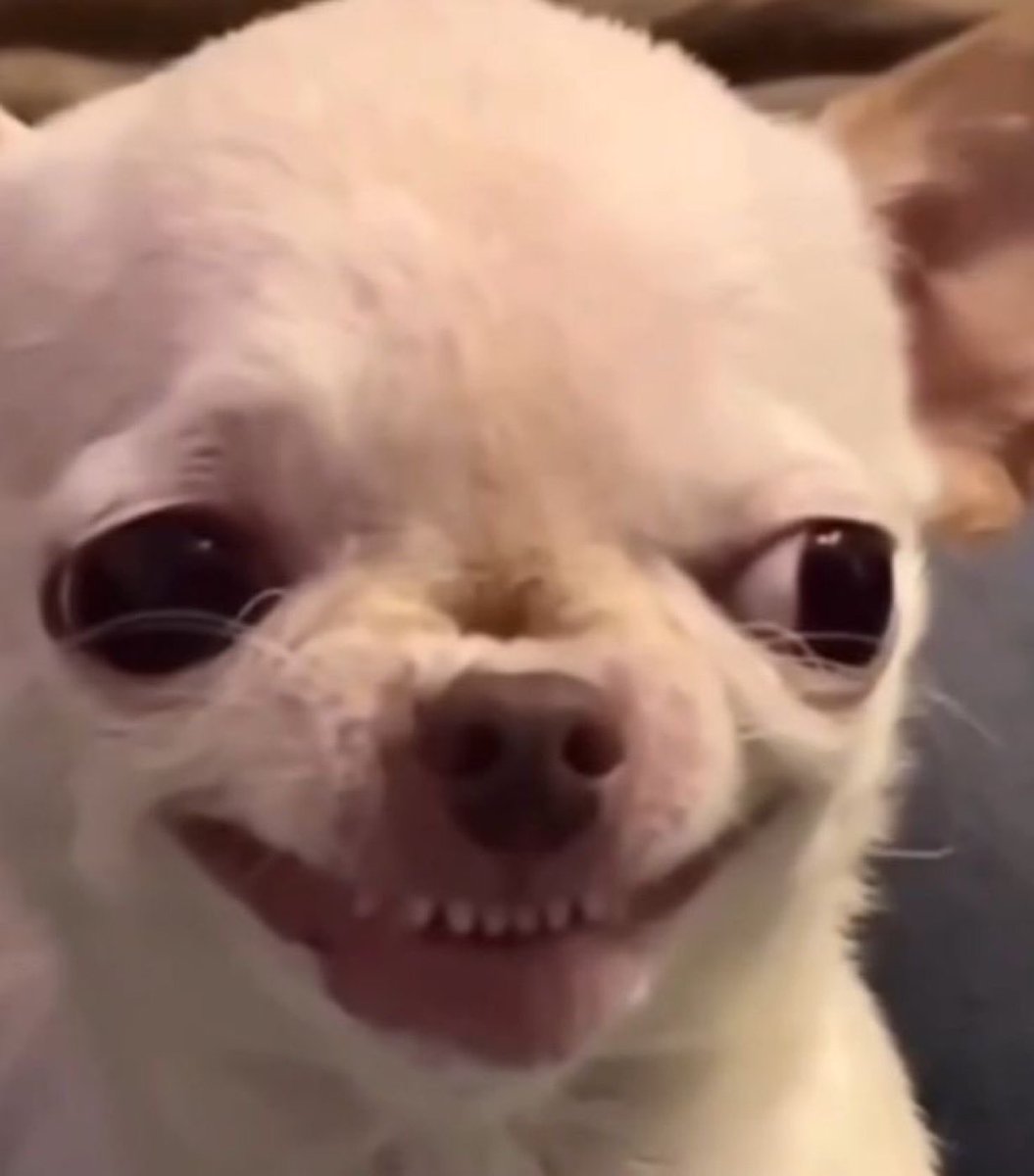 Divine Godwill💗 tweet media