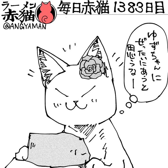 昼休みのときにこっそりと持って来た
#ラーメン赤猫 #ジャンププラス
170杯目 https://t.co/N4egovulVL 