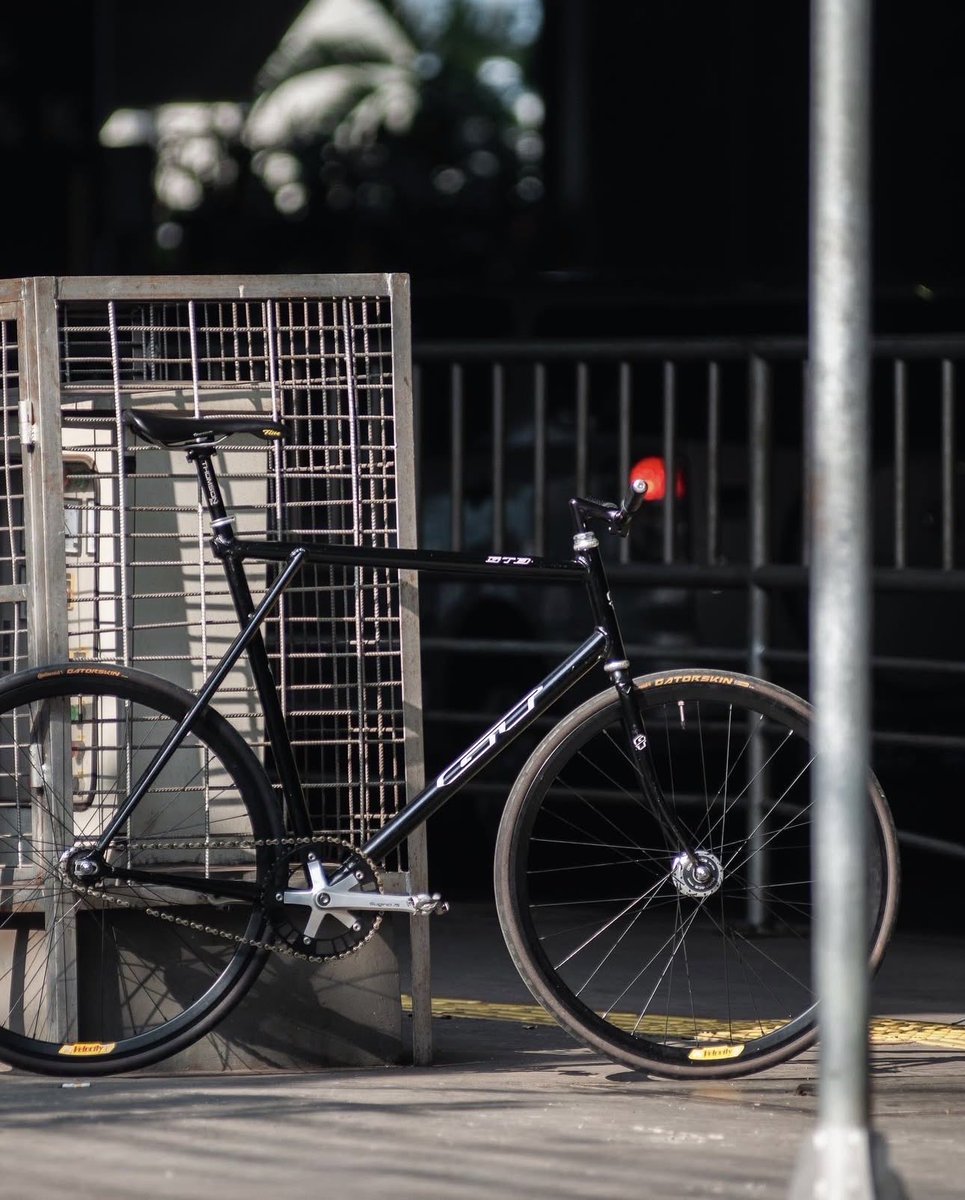 tipielsidi tweet media