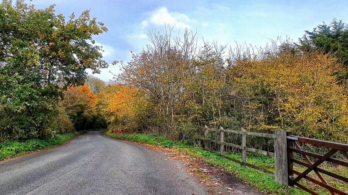 Mild and dry with beautiful Autumnal vibes here on the East coast today! #Lowestoft #Suffolk <a href="/WeatherAisling/">Aisling Creevey</a> <a href="/ChrisPage90/">Chris Page - Weatherman</a> <a href="/itvanglia/">ITV News Anglia</a> #loveukweather
