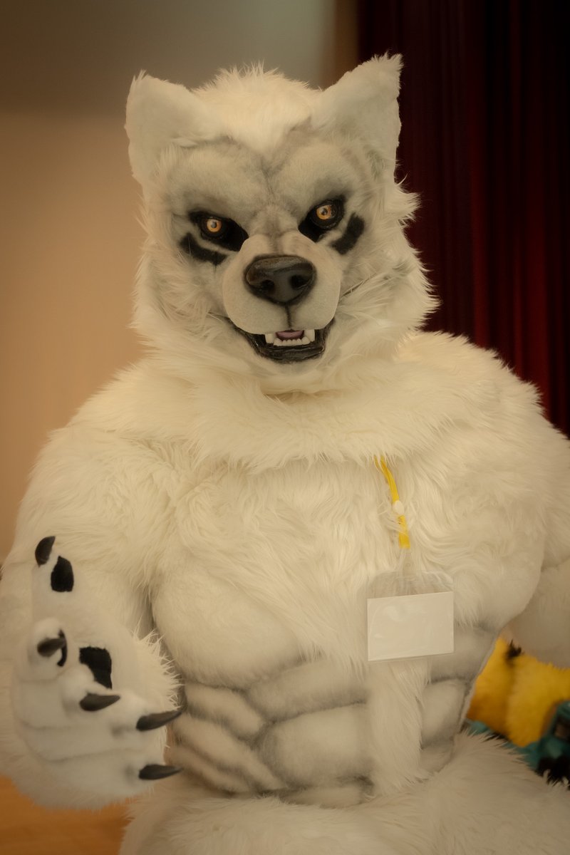 #kemocon18 で会おう！

📸: <a href="/b_foxkonami/">青狐(あおこ)▶BicK11.5</a> 
#FursuitFriday
#ケモノデイズ