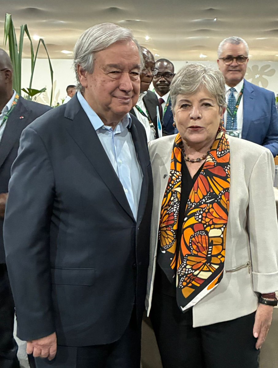 Alicia Bárcena tweet media