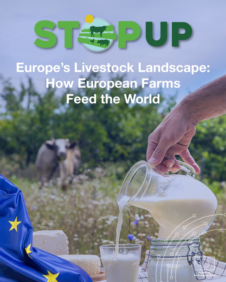 Horizon_StepUp tweet media