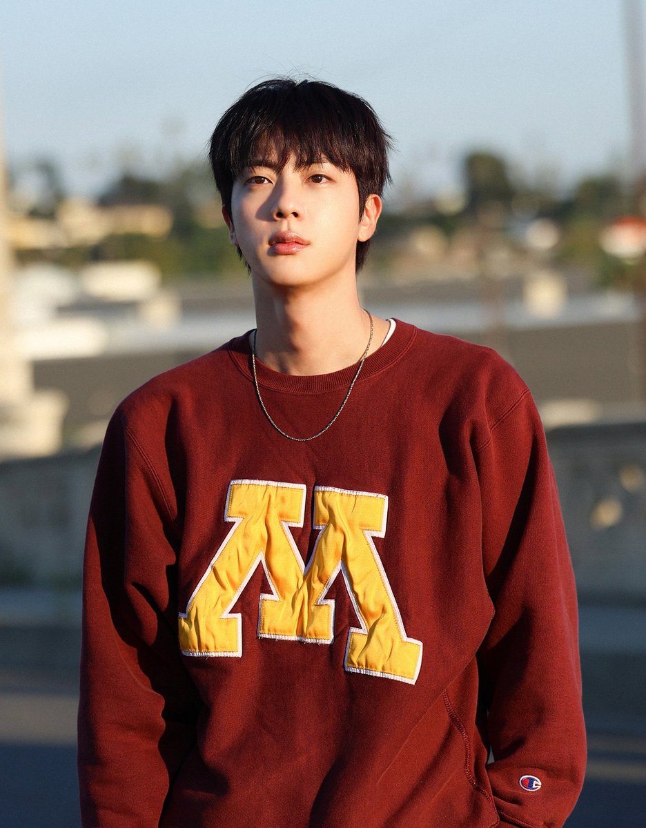 etherealtannie's tweet photo. I'm voting #Jin for #2025MAMAVOTE https://t.co/4mmvfyRprO