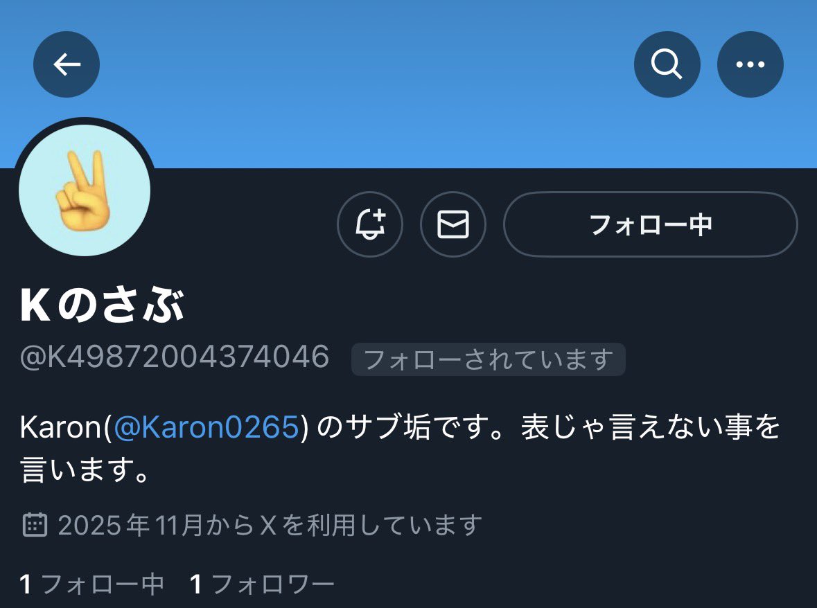 Karon☄️🌸 (@Karon0265) / Posts / X