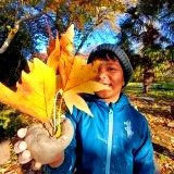 TheBuddingFD's tweet image. Autumn a fantastic time for children to enjoy nature 🍁We recently funded Woodland Sessions for St Wilfred's Primary #burgesshill &amp;amp; Clive Gravett pict. w Heather Whittle (PTA) St Andrews Primary (#hove) with our donation of @TatesGCs Olive trees for planting #sussex #charity
