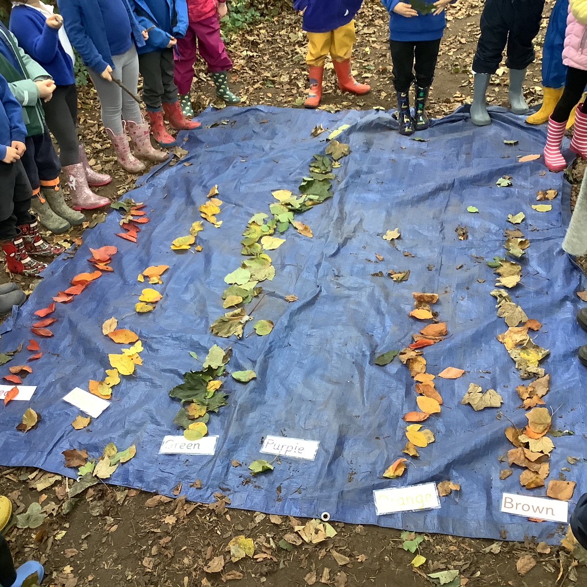 Year 1 tweet media