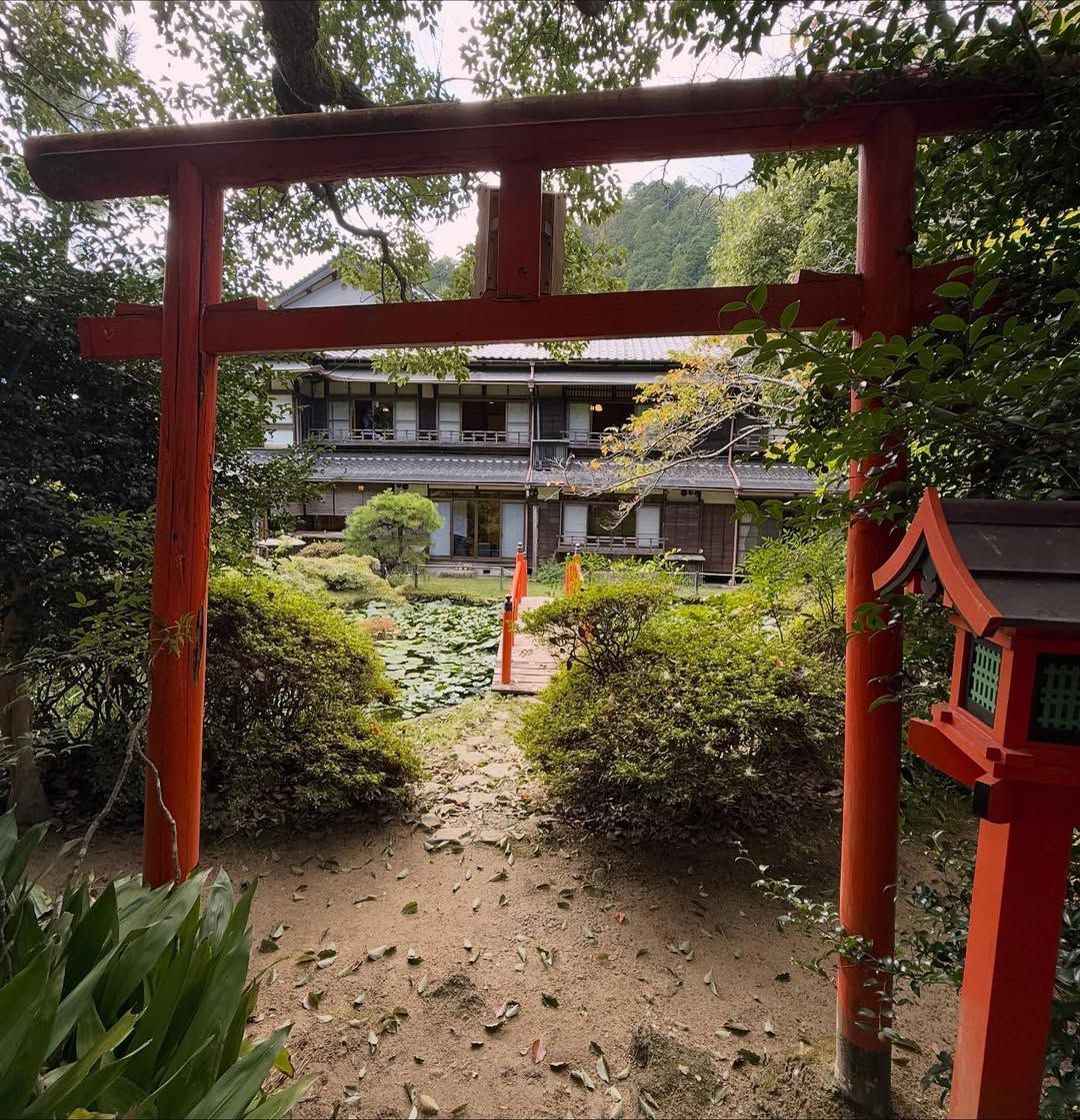 wwwjuliabet's tweet photo. Hello everyone from beautiful #Japan
If anyone is looking for any one-word top and meaningful
✦ .bot domains ✦ let me know!
#domain #bot #gtld #tld #domainnameforsale #investig #ai #robotic #business #ai #bitcoin #investment #domains https://t.co/wUcyyawrrf