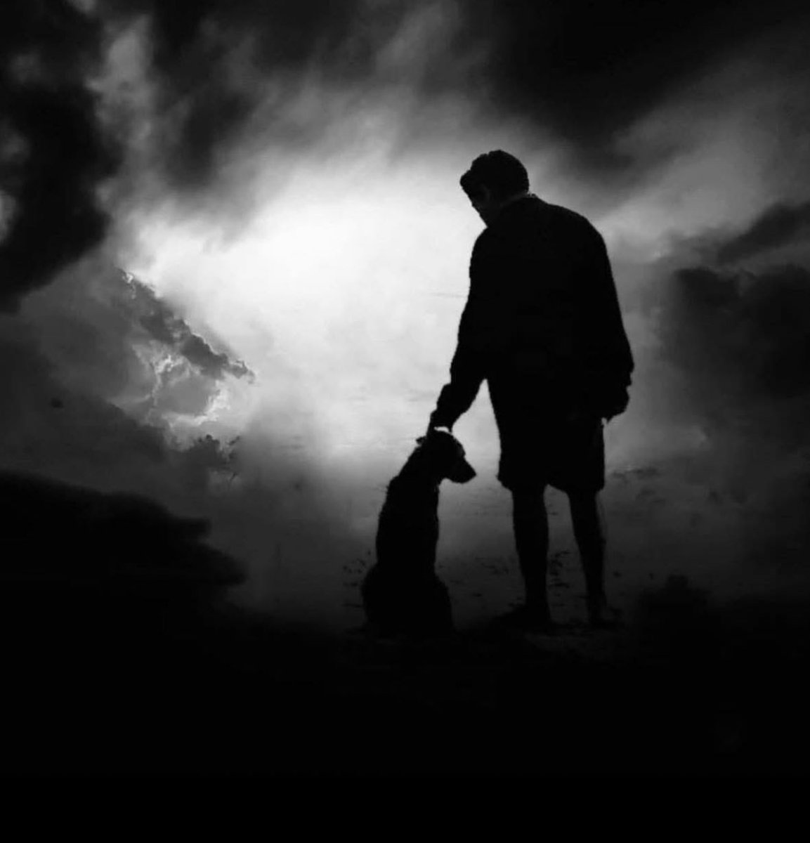 sheilaMol tweet media