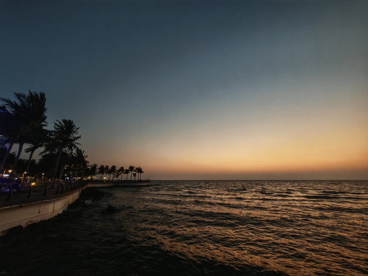 ياسِر tweet media