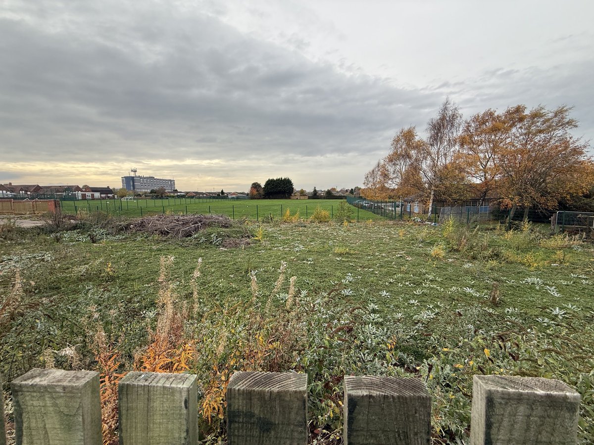 Wayne Swiffin tweet media