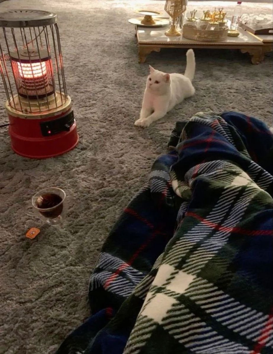 إيوَان tweet media