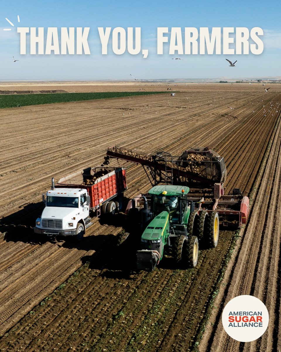 SugarAlliance's tweet photo. As the sugarbeet harvest season draws to a close, we would like to thank all of our sugarbeet growers for their hard work! 👏

#Harvest2025 #ThankAFarmer https://t.co/8uilxenBub