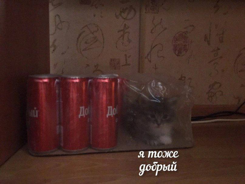 Nickro (@nickro666) on Twitter photo 