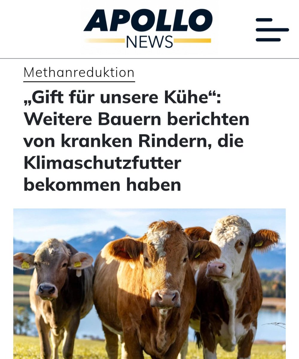 Den Klima-Wahnsinnigen sind nicht einmal die Kühe heilig:
Um den Ausstoß von Methan zu reduzieren, müssen Kühe in Dänemark VERPFLICHTEND mit  dem "Klimaschutzfutter" #Bovaer gefüttert werden.
Bauern berichten von kranken und toten Kühen und sprechen von "Gift für die Tiere".
Was