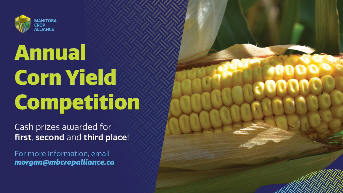 We're still taking entries for the 2025 Corn Yield Competition!

All entrants must be farmer members of MCA. First place will receive $1,000 and a wall plaque!

To learn more, contact <a href="/MCA_MorganCott/">Morgan Cott</a> or visit our website: ow.ly/OVu550XkYKp

#cdnag #westcdnag #MbAg