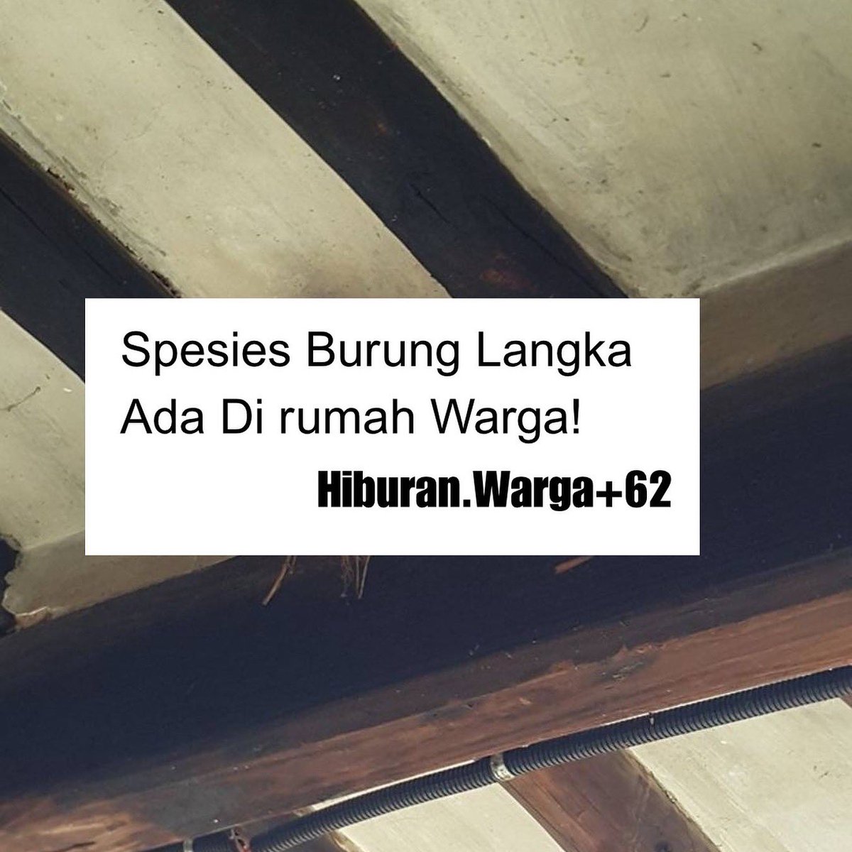 hiburan_warga62's tweet image. Hampir punah gais lindungin plis🤣

Source : tt
#fypppppppppppppppppppppppppppppppppppppppppppppppppppppppppppppppppppppp #memes #core #hiburanwarga62 #memeindonesia #hiburanwarga #lucu #diluarnalar #gakexpect #funnyvideos #randomvideos