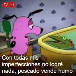 Voxed Posting (@voxedposting) on Twitter photo 