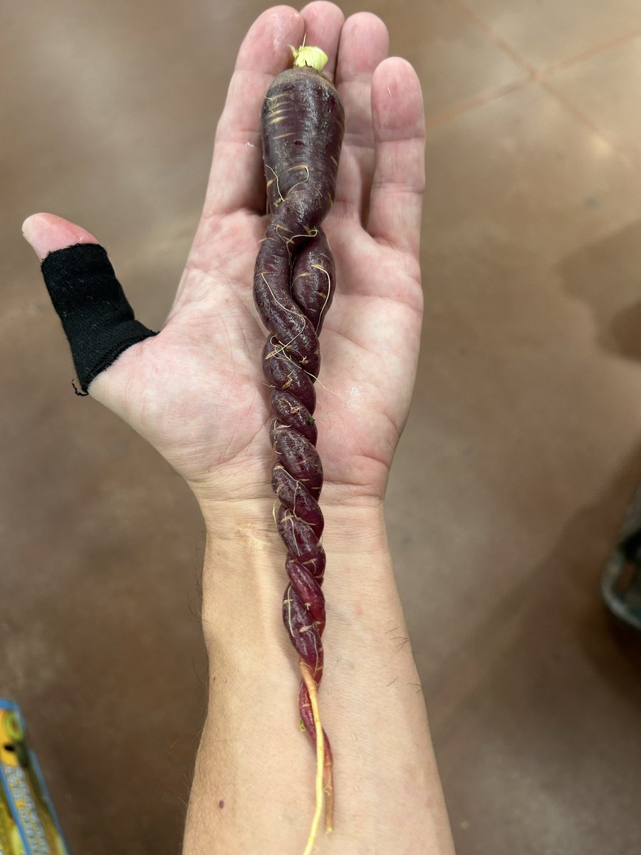 Full moon harvest magic