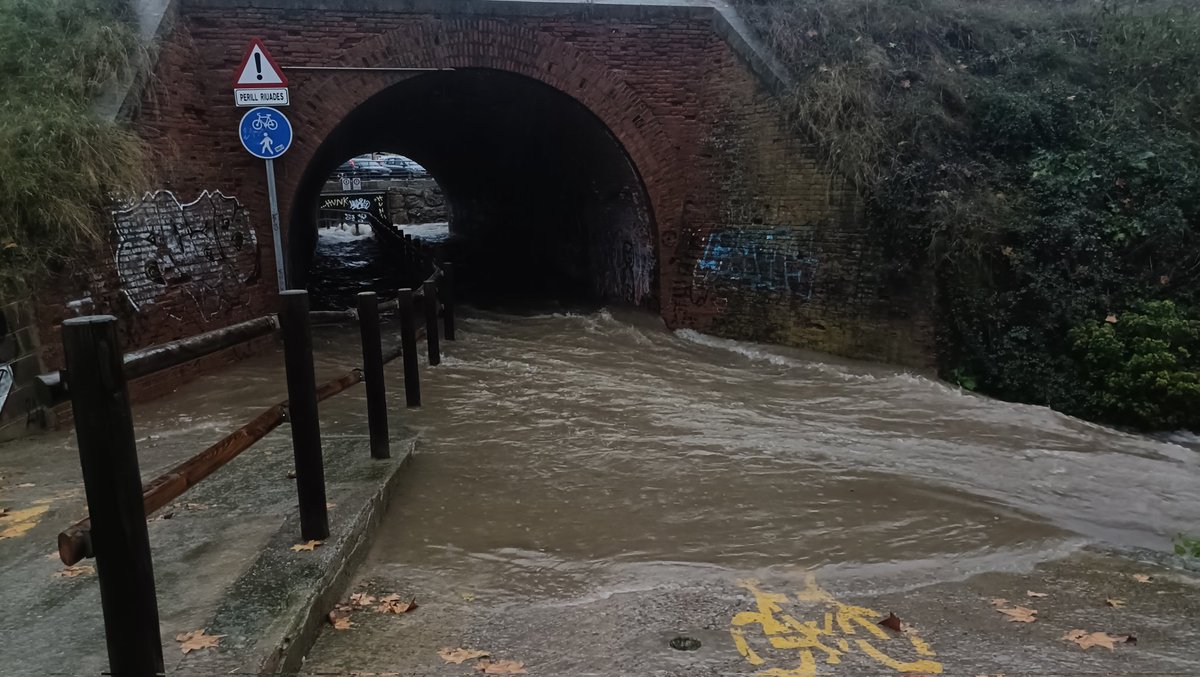 AVPC de Cardedeu tweet media
