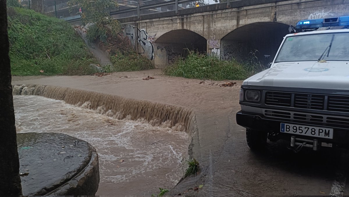 AVPC de Cardedeu tweet media