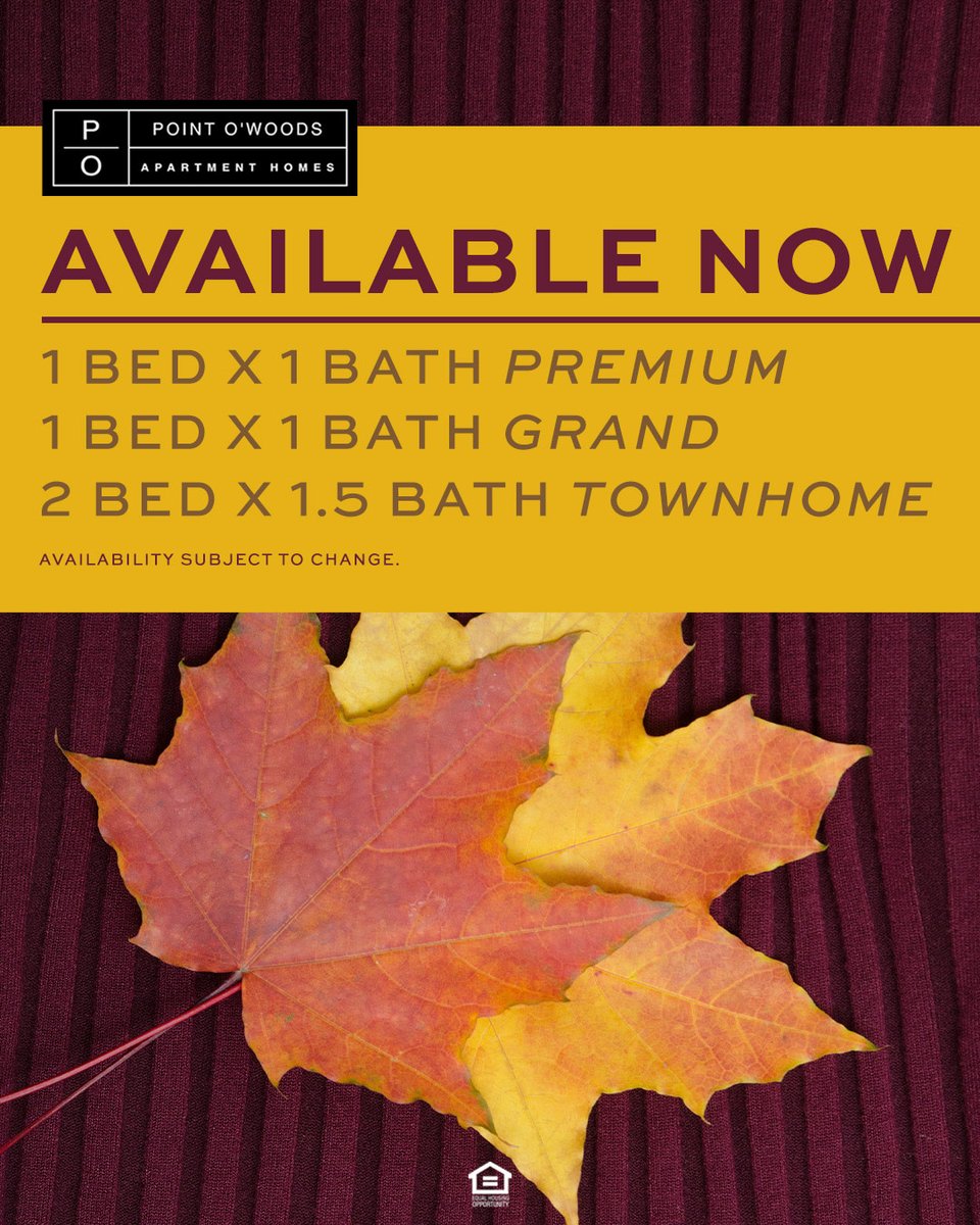 PointOWoodsofMS's tweet image. Experience comfort and convenience with our November floor plans, offering 1- and 2-bedroom apartments.

Enjoy fall in a community that feels like home! 🍁 pointowoodsms.com
