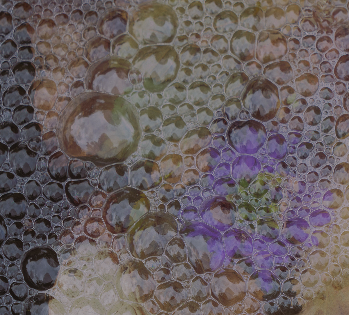 mittu12's tweet image. 6 November today's #DailyPictureTheme is #floating bubbles and leaves