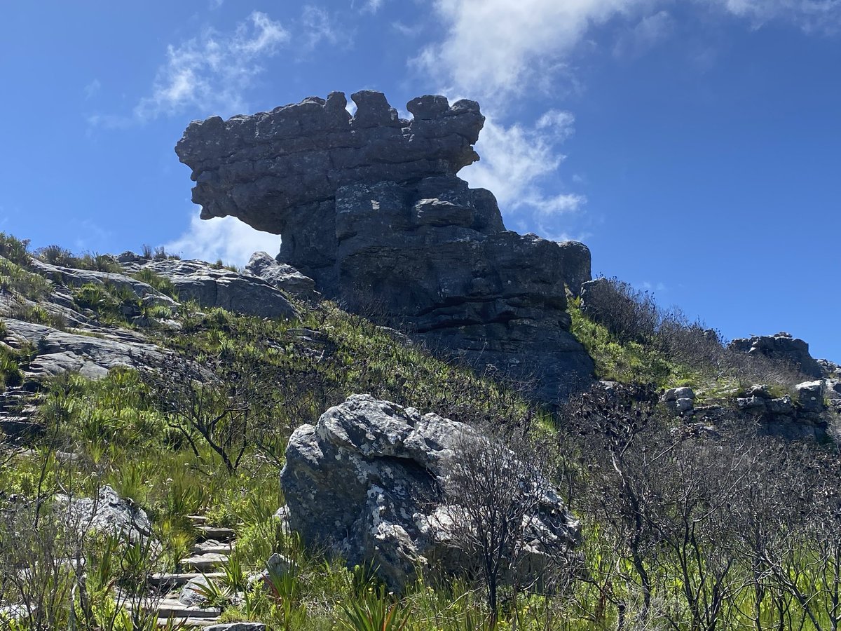 xcb76's tweet photo. Table mountain-Mahai mendia. Igoera oso aldatsua Eskeleton gorge haitzartetik. Ikusgarriak ikuspegiak eta haizetsua ere bai.
Azken Aurreko eguna Lurmutur Hirian, Cape town. https://t.co/wNhZ7kHsZC
