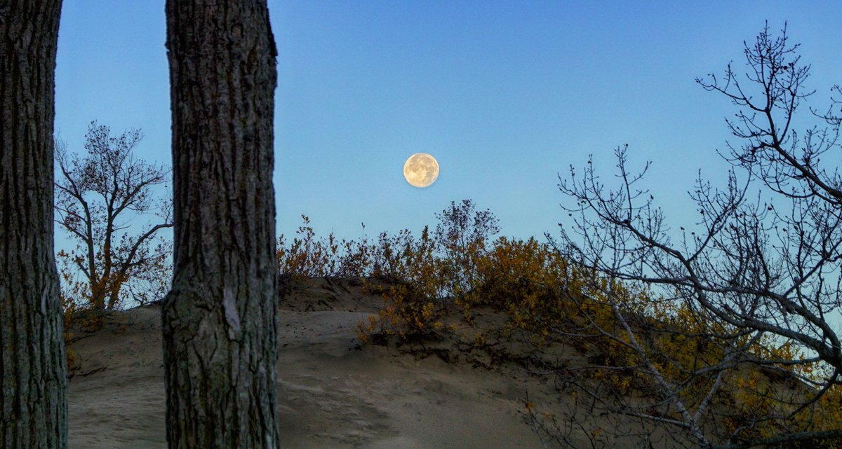 Beaver Moon going down for another year over the DUNES at <a href="/SandbanksPP/">Sandbanks Provincial Park</a>  <a href="/weathernetwork/">The Weather Network</a>  Nov 6