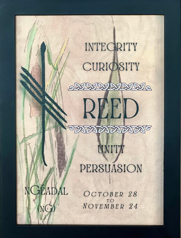 #FolkloreThursday 🌾🌕
Deep in Celtic Ogham, November's Reed Moon (Ngetal)—shadow of Samhain's fires (Oct 31-Nov 1)—plunges roots to Donn's underworld at Tech Duinn, where reed's haunting winds keen for the dead. 💀
#Ngetal may also be known as Broom or Fern which according to