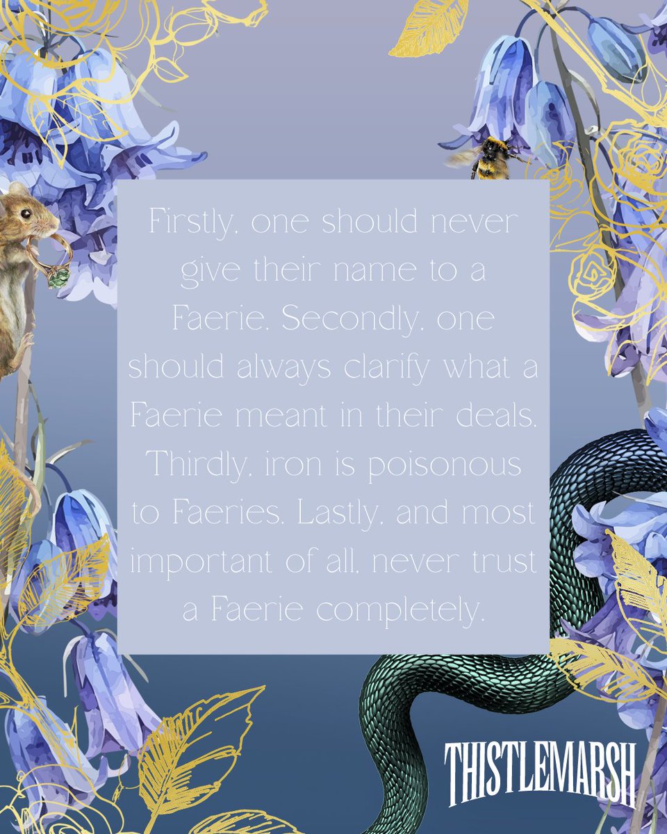 Penguin Huddle tweet media