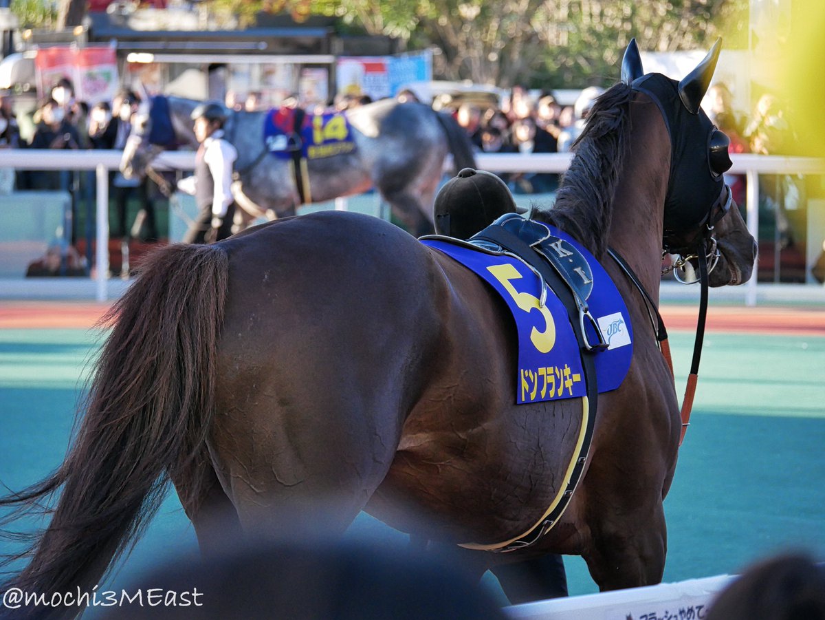 ドゥラメンテゼッケン 東洋柔道着 全柔連新規格適合 EVOLUTION 上下セット ネーム刺繍