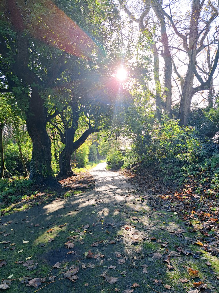 Karen Douglas tweet media