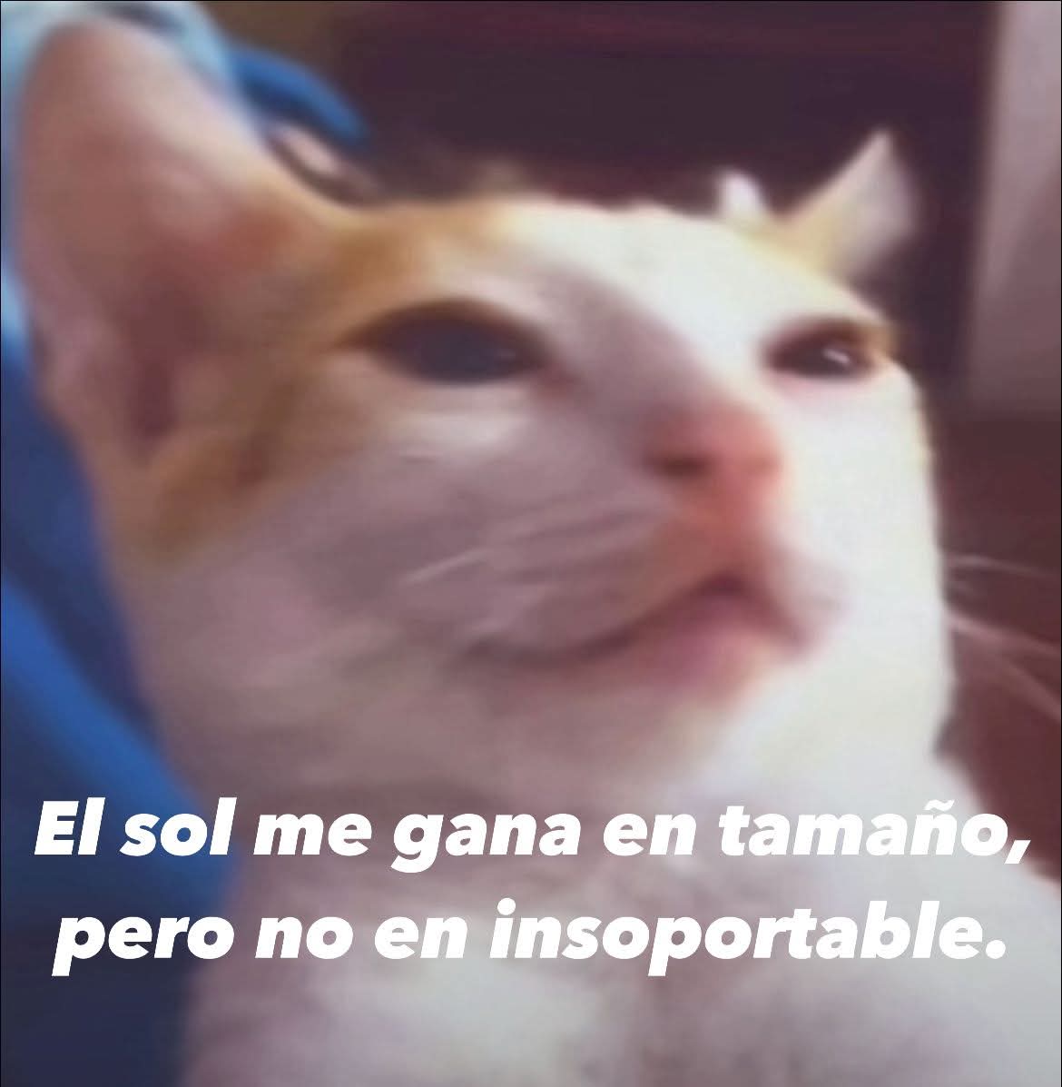 Animalesaprieto's tweet image. 