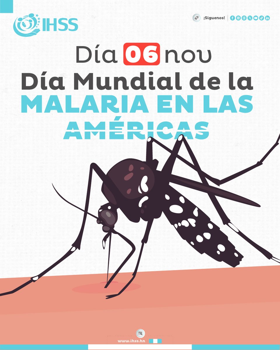 🦟 La malaria no se transmite de persona a persona, sino por la picadura del mosquito Anopheles infectado.
Protégete usando mosquiteros, repelente y eliminando criaderos de zancudos.
👉 ¡La prevención salva vidas!
#Malaria #Salud #Prevención
