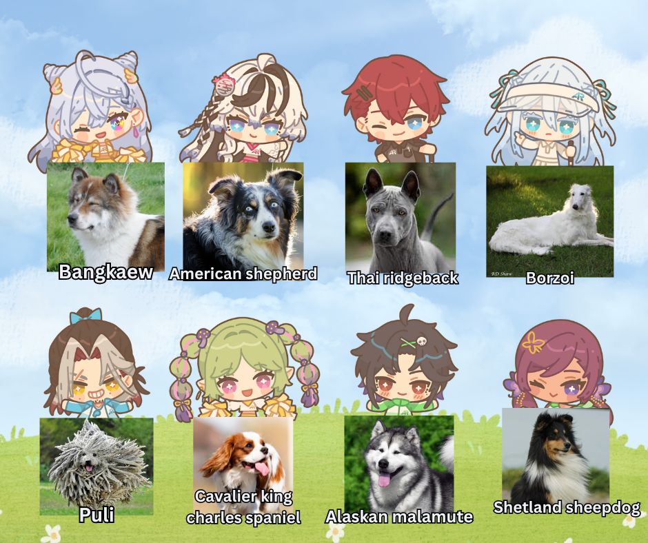 S1R_ARP's tweet image. ขอบคุณสำหรับไลฟ์ ARP What if.. ถ้าคนใน #ARProject เป็นน้องแบ้กๆนะ
นี่เป็นผลประกอบการณ์แบบฟีลลิ่งจากเซอมูและพี่เต พร้อมความช่วยเหลือจากแชทในวันนี้(มีต่อ)