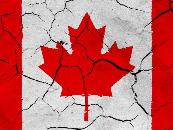Shawn McLean tweet media