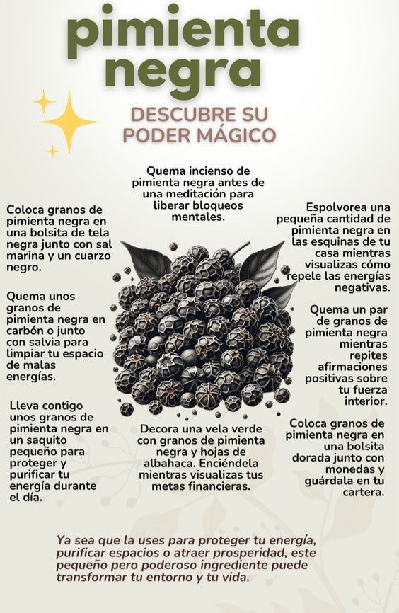 MindBodyIsLife's tweet photo. PIMIENTA NEGRA

DESCUBRE SU PODER MÁGICO

Coloca granos de pimienta negra en una bolsita de tela negra junto con sal marina y un cuarzo negro.

Quema unos granos de pimienta negra en carbón o junto con salvia para limpiar tu espacio de malas energías.

Lleva contigo unos granos de pimienta negra en un saquito pequeño para proteger y purificar tu energía durante el día.

Quema incienso de pimienta negra antes de una meditación para liberar bloqueos mentales.

Decora una vela verde con granos de pimienta negra y hojas de albahaca. Enciéndela mientras visualizas tus metas financieras.

Espolvorea una pequeña cantidad de pimienta negra en las esquinas de tu casa mientras visualizas cómo repele las energías negativas.

Quema un par de granos de pimienta negra mientras repites afirmaciones positivas sobre tu fuerza interior.

Coloca granos de pimienta negra en una bolsita dorada junto con monedas y guárdala en tu cartera.

Ya sea que la uses para proteger tu energía, purificar espacios o atraer prosperidad, este pequeño pero poderoso ingrediente puede transformar tu entorno y tu vida.