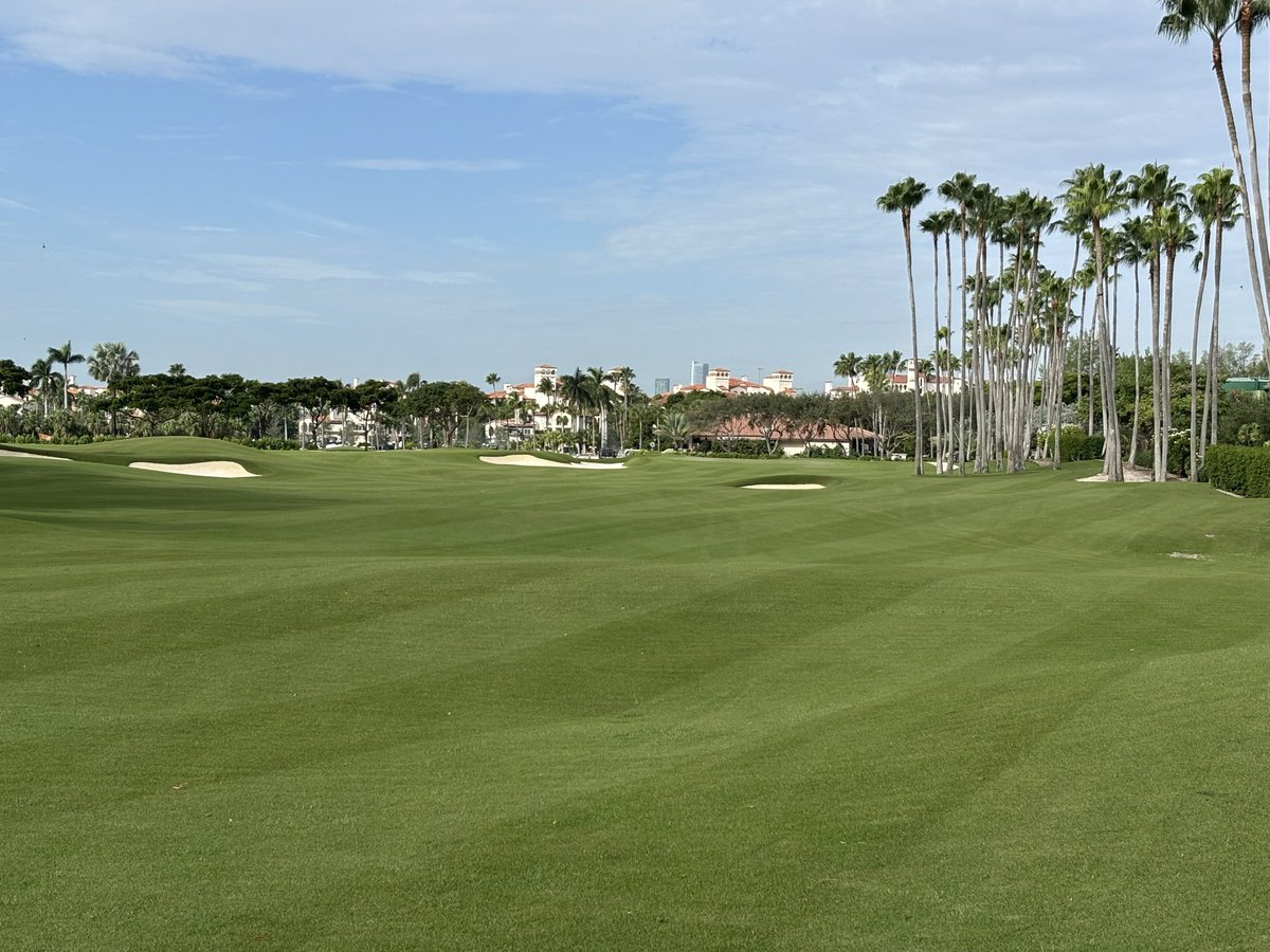 bubbaturfguy's tweet photo. Down to the final month before it begins…Opening Day early December has been announced! #suplife #golfcoursemaintenance https://t.co/HpgARCzfQt