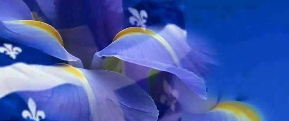 JocelyneRobert's tweet image. #PSPP persiste et signe, bravo!   La rengaine libérale, le faire peur, le chantage, les déclarations d’amour trafiquées, la manipulation : TER-MI-NÉS à jamais. Ça ne marchera plus. 

Pour l’amour, la survie, le rayonnement du Québec, le pays et rien d’autre!